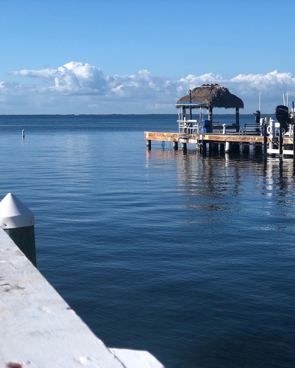 Amoray Dive Resort | 104250 Overseas Hwy, Key Largo, FL 33037, USA | Phone: (305) 451-3595