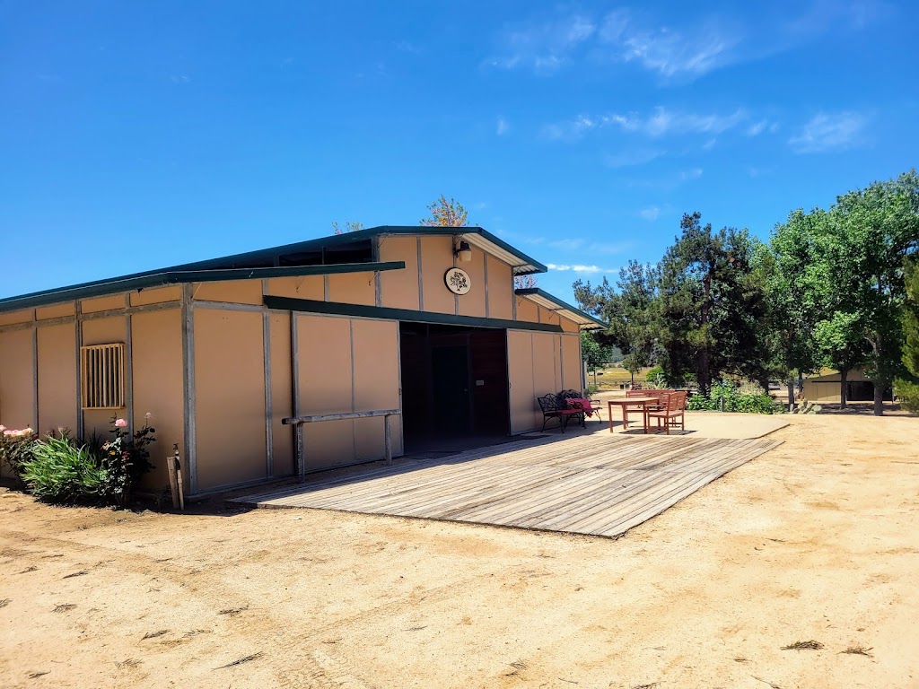 Horse Boarding & Training Murrieta | 43475 Tenaja Rd, Murrieta, CA 92562, USA | Phone: (951) 288-0521