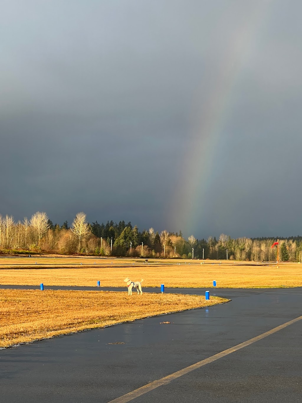 Jefferson County International Airport | 191 Airport Rd, Port Townsend, WA 98368, USA | Phone: (360) 385-0656