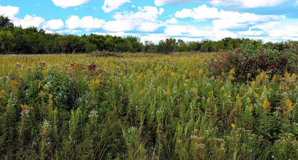 Badfish Creek State Wildlife Area | Old Stone Rd, Madison, WI 53711, USA | Phone: (888) 936-7463