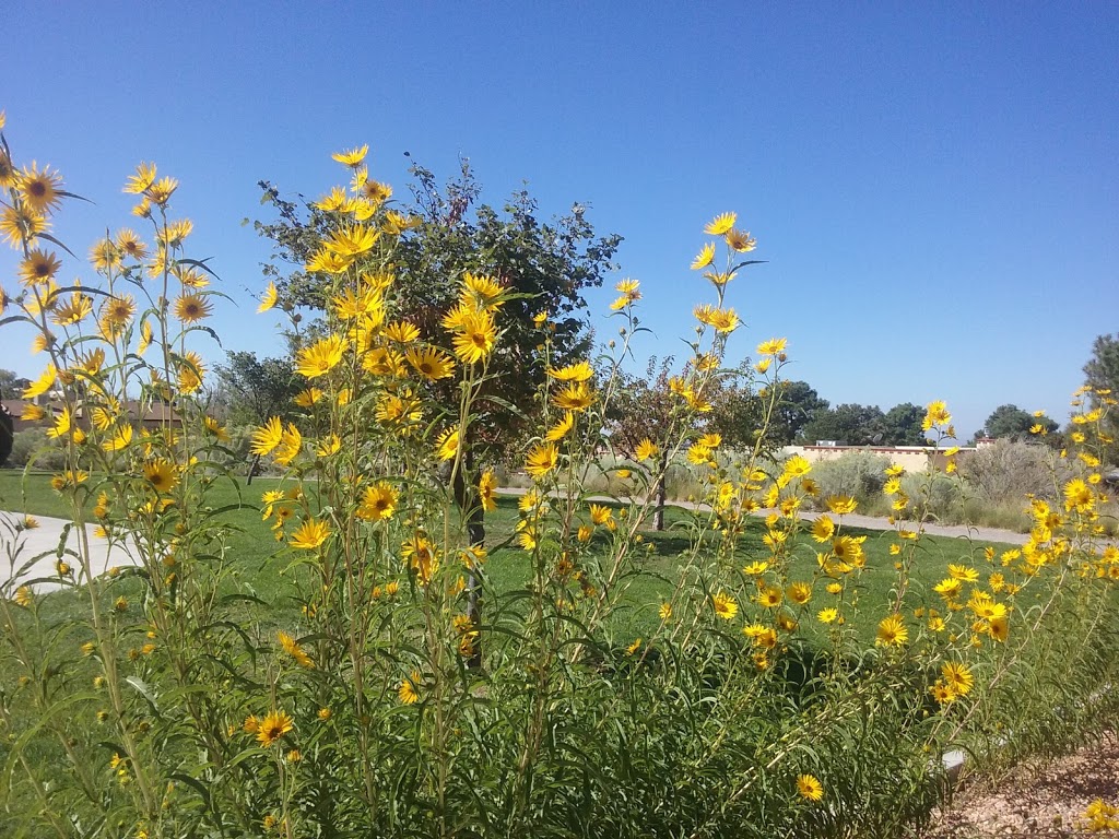 Casa Grande Linear Park | Albuquerque, NM 87111, USA | Phone: (505) 452-5200