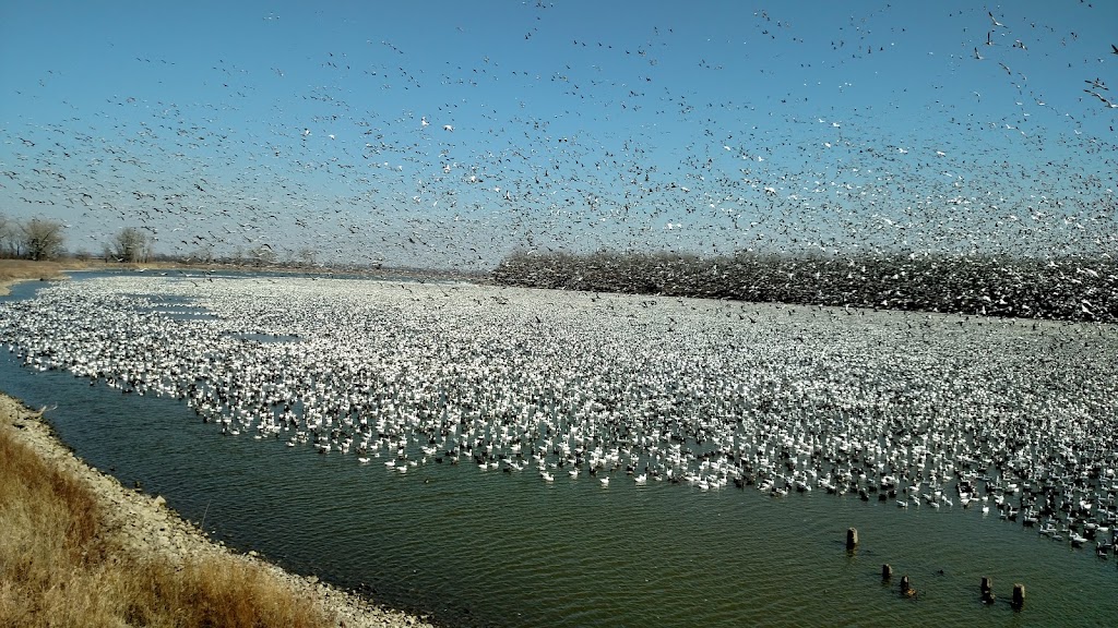 Desoto National Wildlife Refuge | 1434 316th Ln, Missouri Valley, IA 51555, USA | Phone: (712) 388-4800