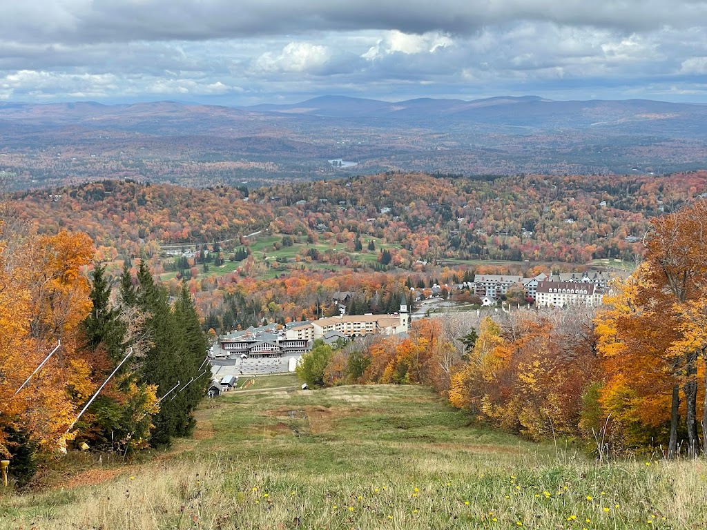 Stratton Adventures | Sun Bowl Rd, Stratton, VT 05360, USA | Phone: (802) 379-1483