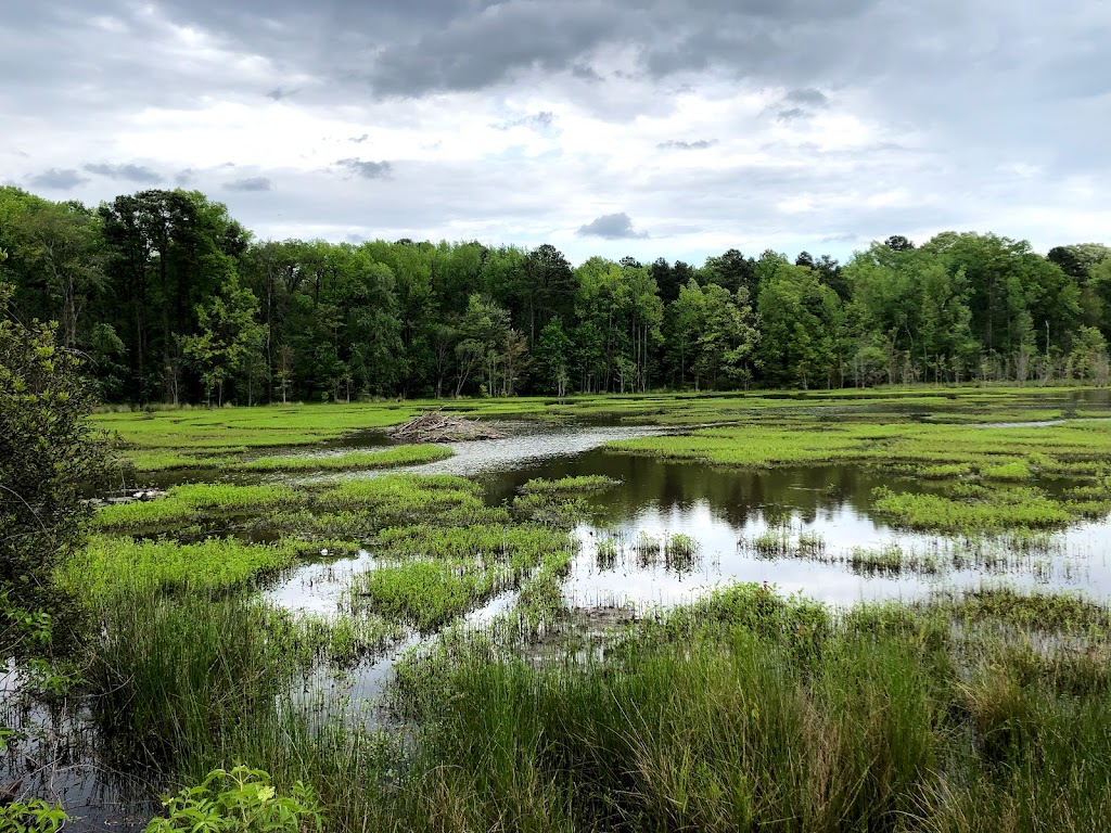 Beaver Marsh Nature Preserve | Cascadilla Street, Ambridge St, Durham, NC 27704, USA | Phone: (919) 698-9729