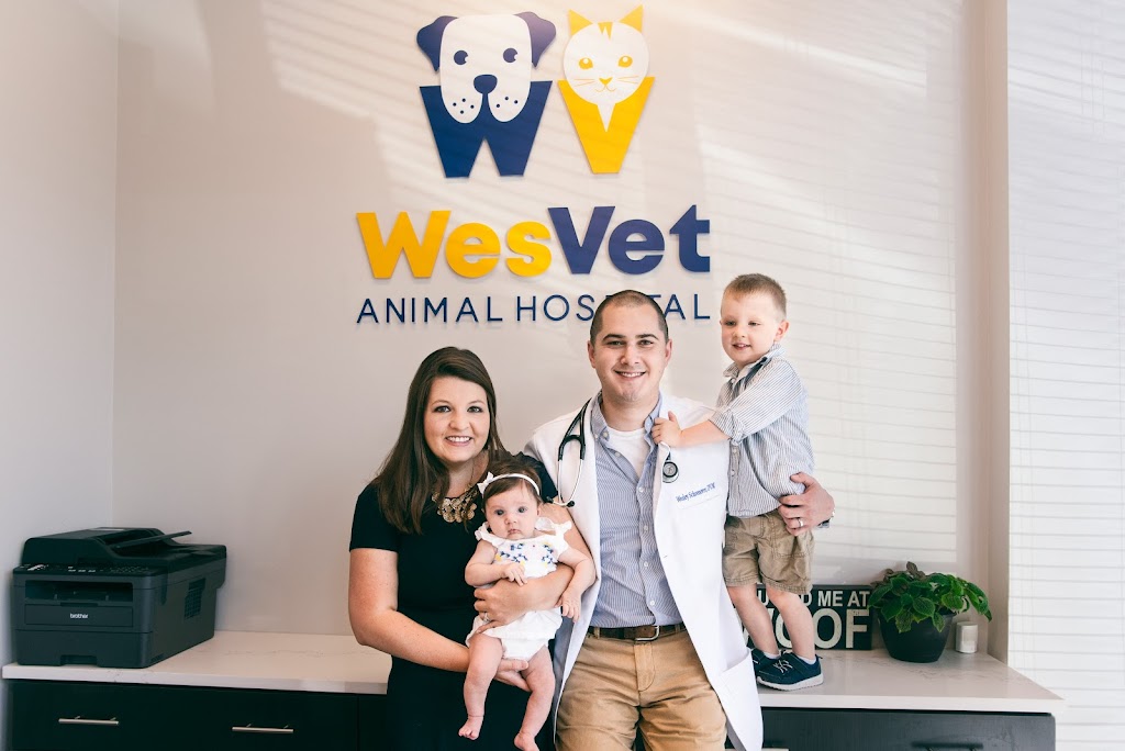 WesVet Animal Hospital | 5511 Edmondson Pike Suite 205, Nashville, TN 37211, USA | Phone: (615) 739-5824