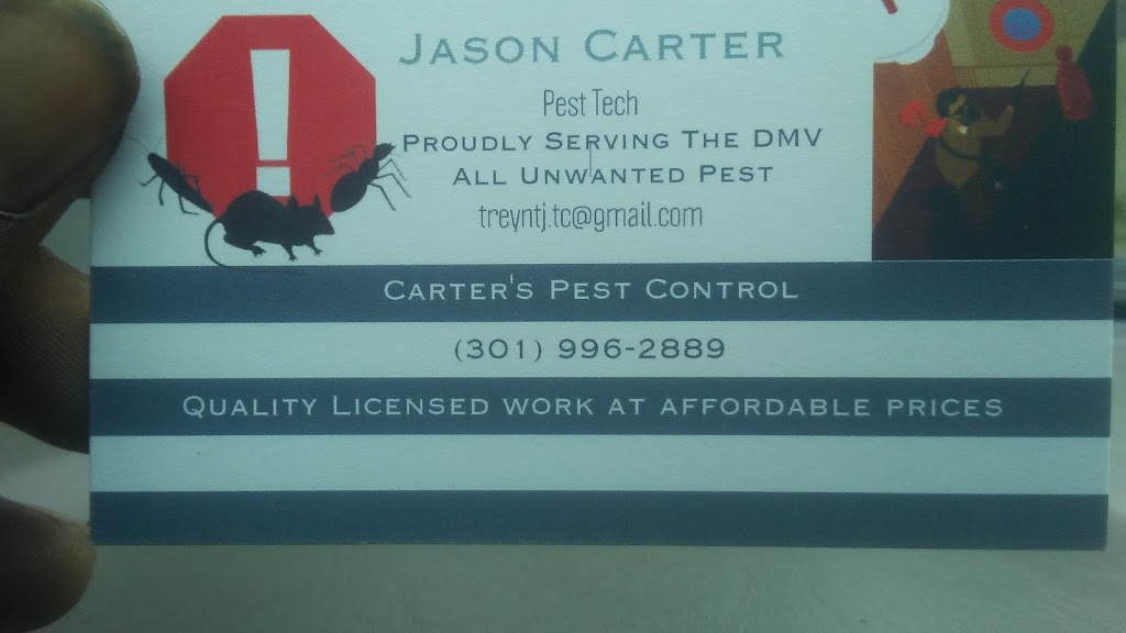Carters Pest Control | 5806 14th Pl, Hyattsville, MD 20782, USA | Phone: (301) 996-2889