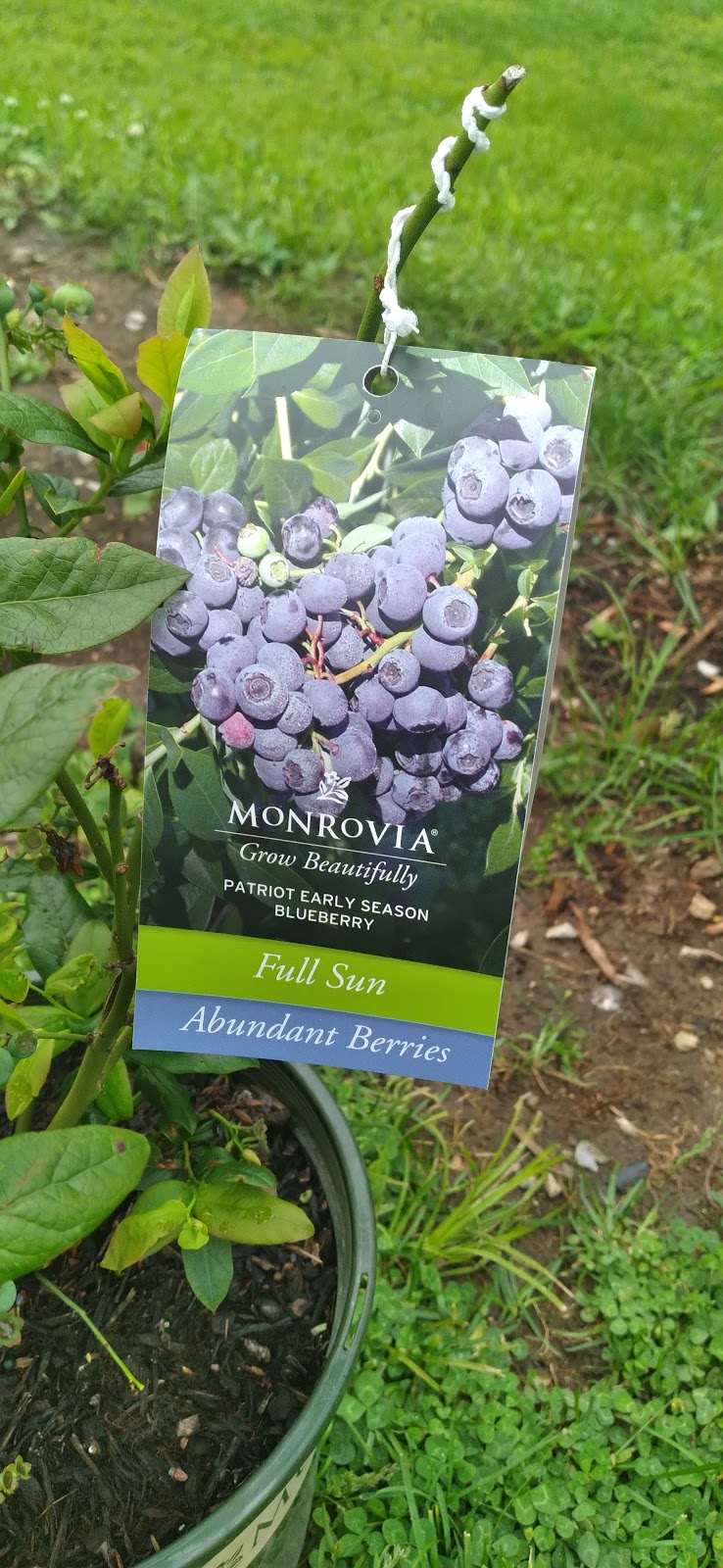 Suburban Lawn & Garden | 4 W 135th St, Kansas City, MO 64145, USA | Phone: (816) 942-2921