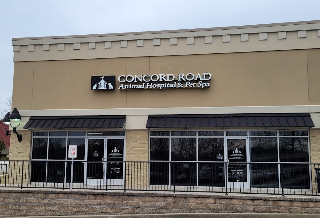 Concord Road Animal Hospital & Pet Spa | 6688 Nolensville Pike Suite 101, Brentwood, TN 37027, USA | Phone: (615) 283-9040