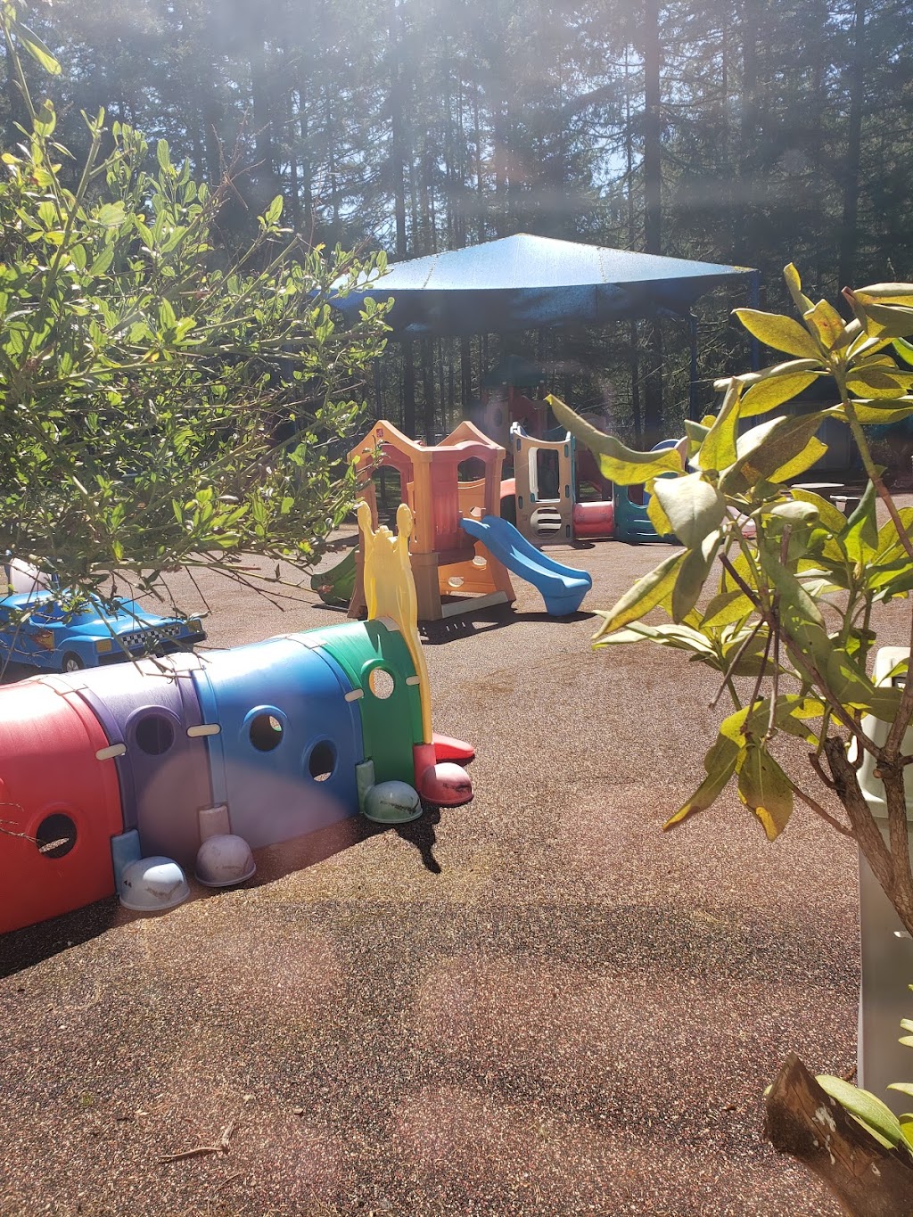 The Escape Zone 851 Lincoln Blvd SW, McChord AFB, WA 98438, USA BusinessYab