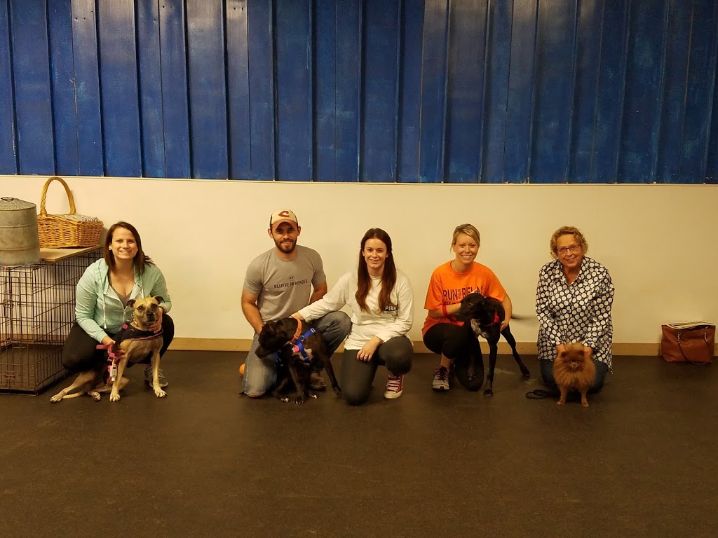 Talk Dog Toledo Dog Training | 4061 County Rd 16, Woodville, OH 43469, USA | Phone: (419) 849-3605