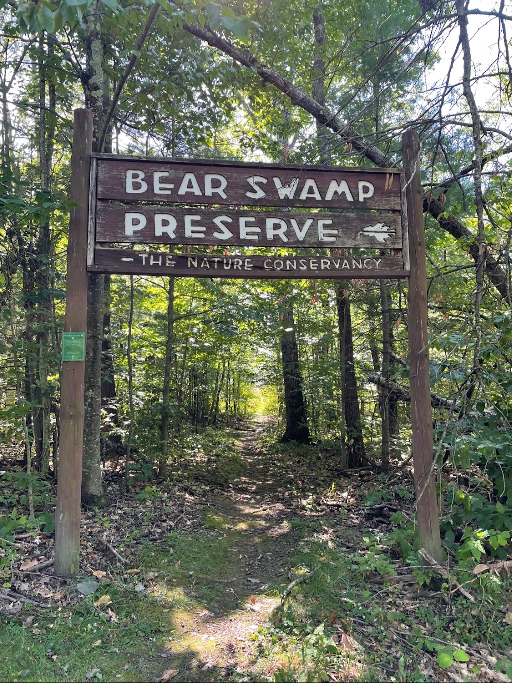 Bear Swamp Preserve | 899 Co Rd 404, Westerlo, NY 12193, USA | Phone: (212) 997-1880