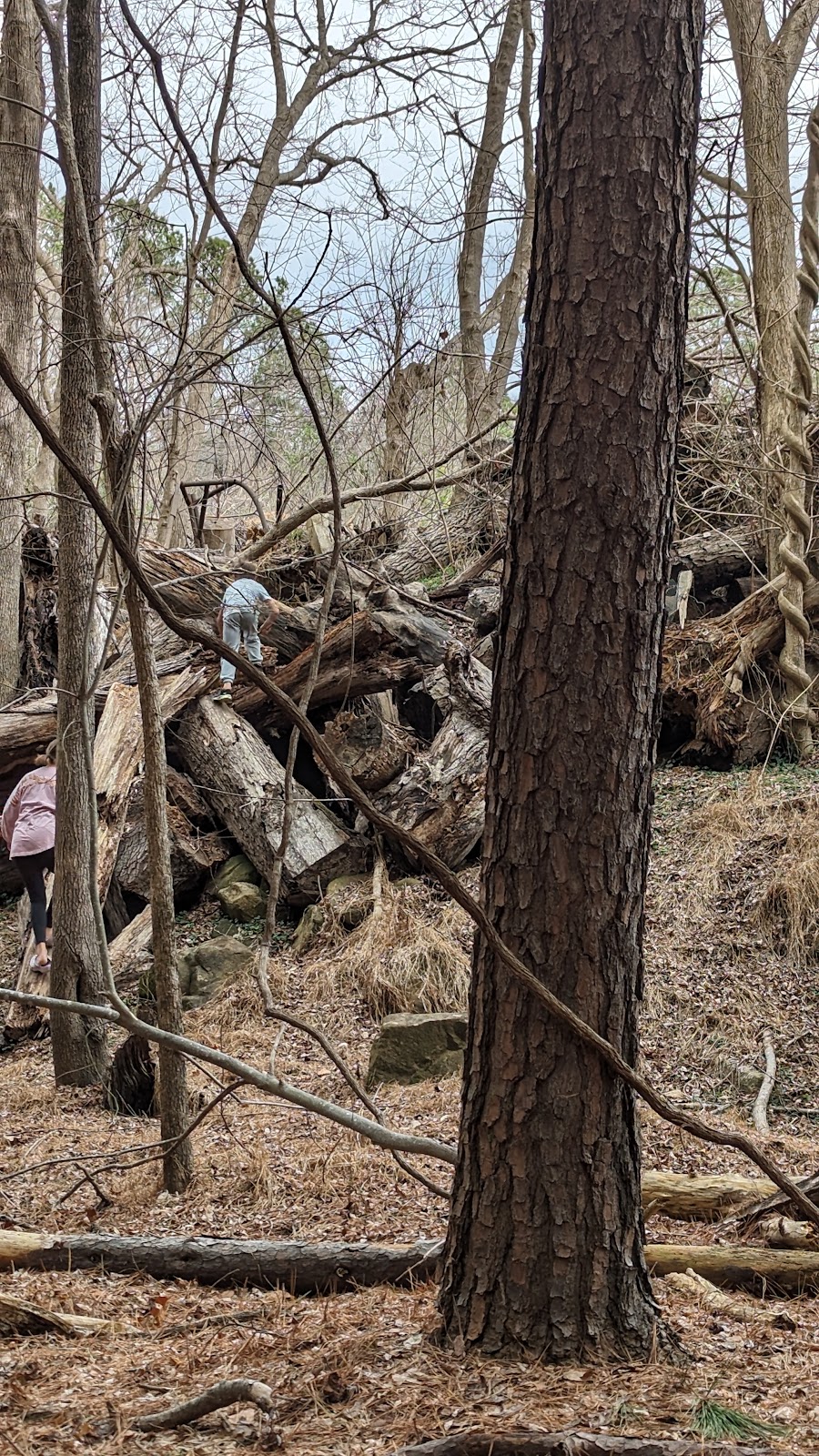 Carolina North Forest Trail System Parking Lot | Chapel Hill, NC 27516, USA | Phone: (919) 883-8930