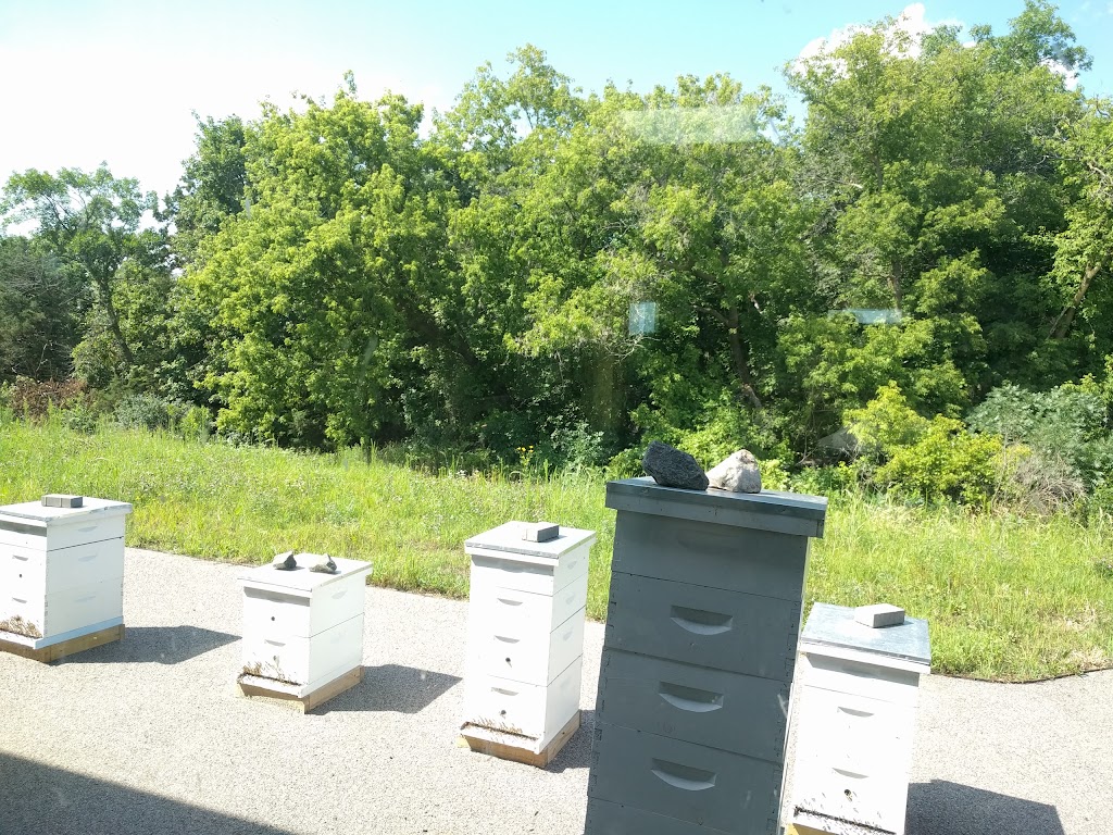 Tashjian Bee and Pollinator Discovery Center | 3210 W 82nd St, Chanhassen, MN 55317, USA | Phone: (612) 301-3486