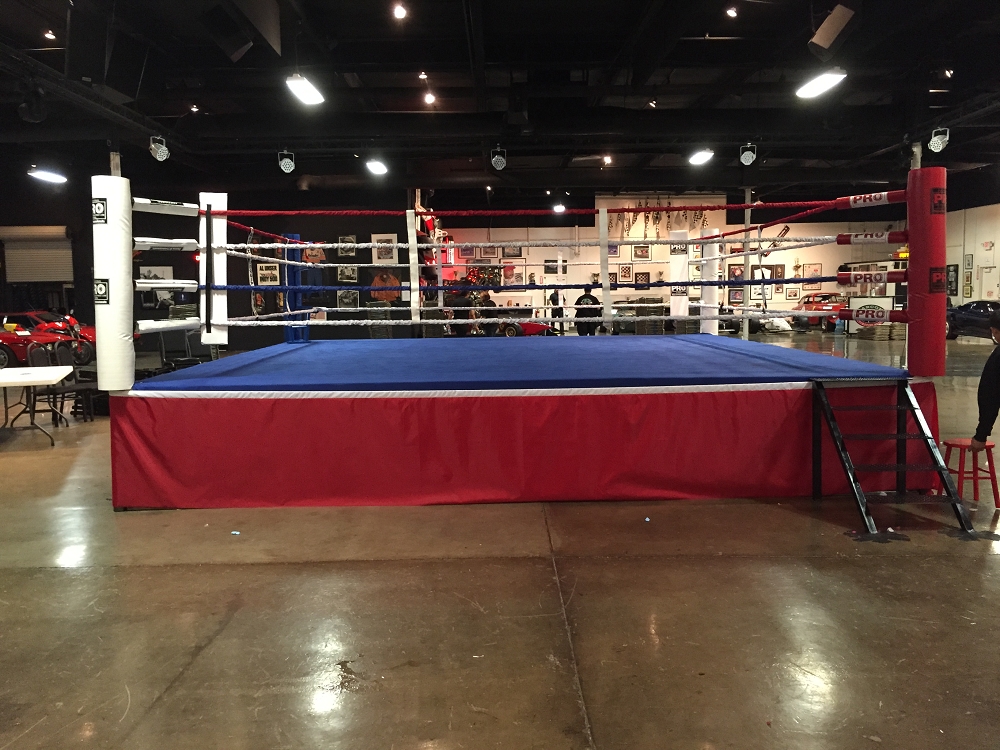 PRO Boxing Equipment | 510 N Lake Ave, Pasadena, CA 91101, USA | Phone: (626) 793-3945