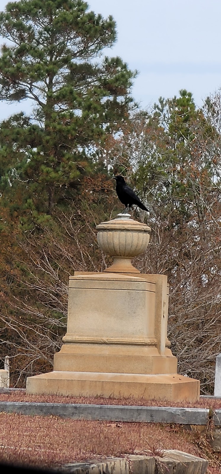 Grantville City Cemetery | 124 Griffin St, Grantville, GA 30220, USA | Phone: (770) 583-2289