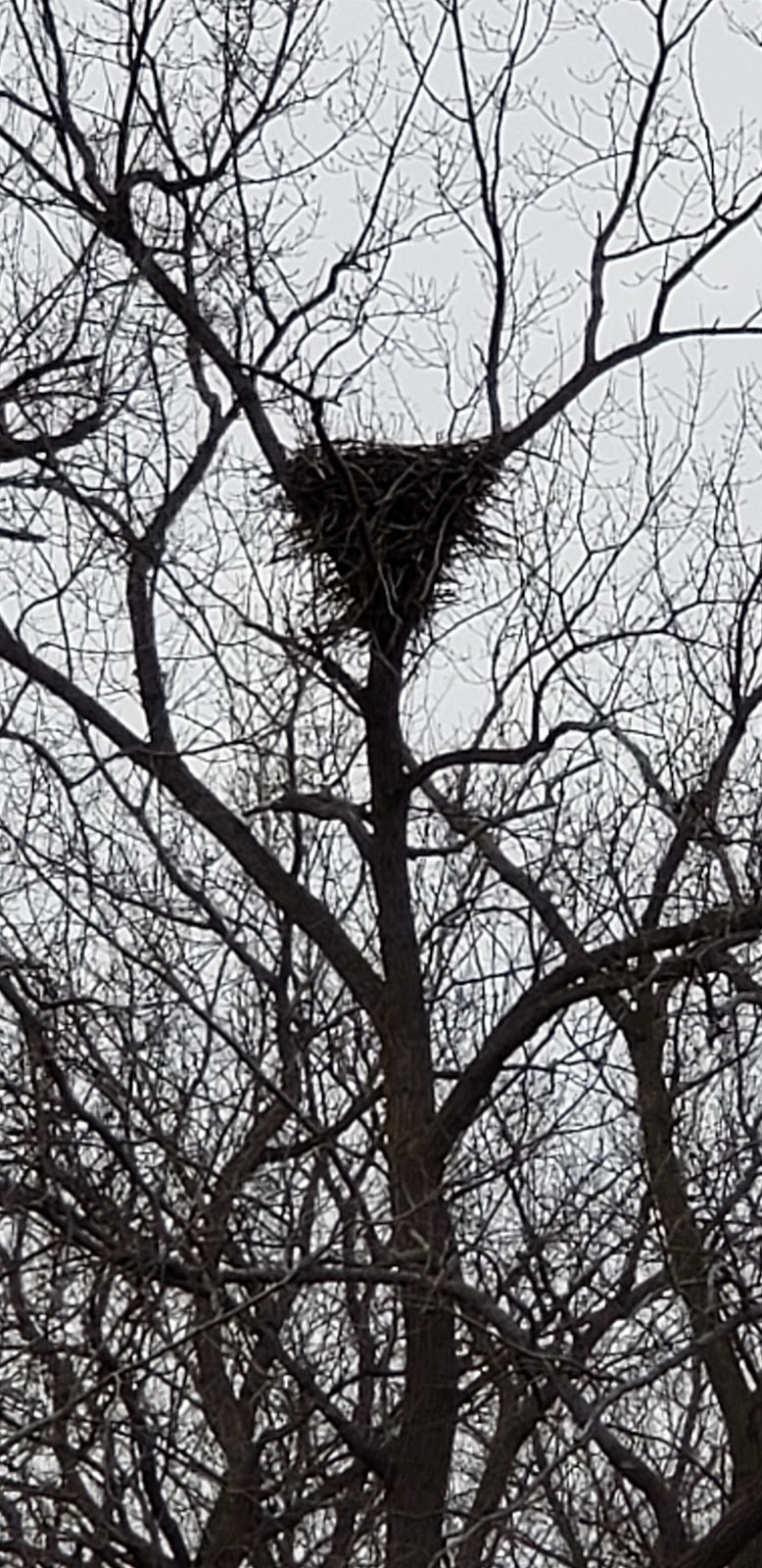 Magee Marsh | Magee Marsh Wildlife Area State Route 2 Oak Harbor OH, Curtice, OH 43412, USA | Phone: (419) 898-0960