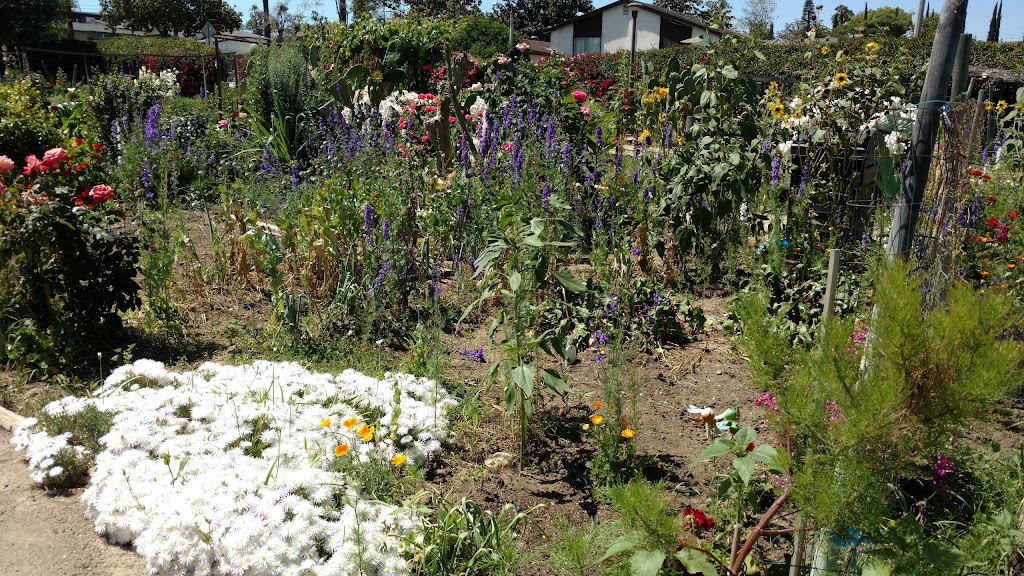 Winston Smoyer Memorial Community Garden | 1006 Clay Ct, Alhambra, CA 91801, USA | Phone: (626) 570-3208