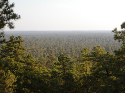 New Jersey Pinelands National Reserve | 853 Atsion Rd, Shamong, NJ 08088, USA | Phone: (609) 894-7300