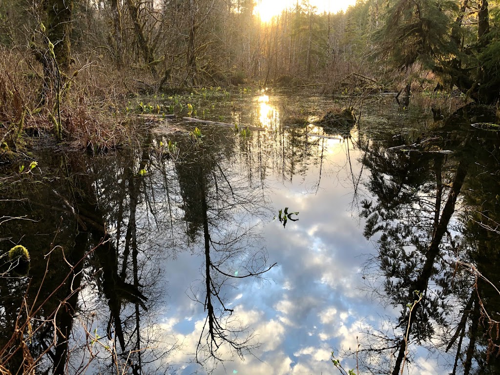 Robe Canyon Historic Park | Mountain Loop Hwy, Granite Falls, WA 98252, USA | Phone: (425) 388-6600