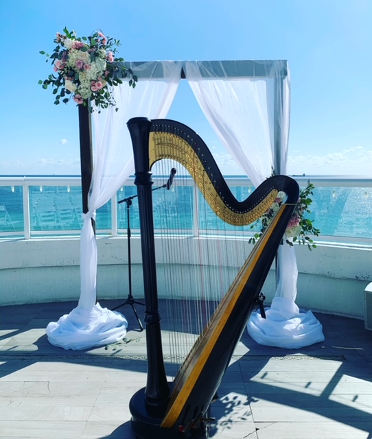 Harpist Lisa | 9304 Chelsea Dr S, Plantation, FL 33324, USA | Phone: (954) 684-0441