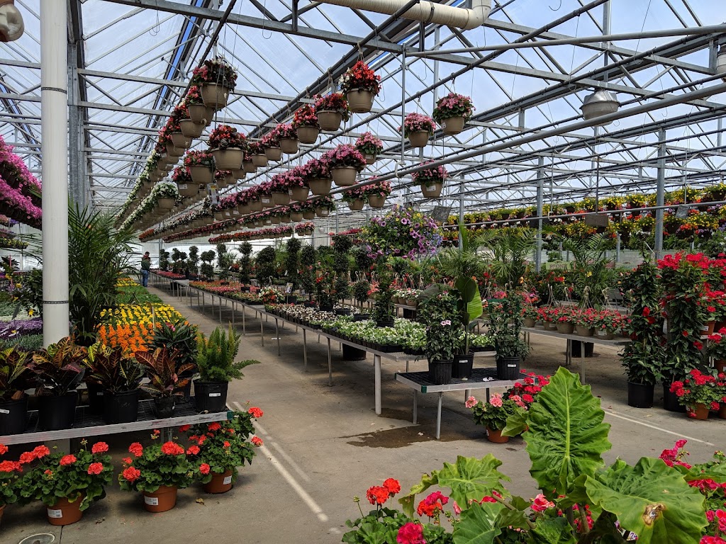 Straders Garden Center | 5350 Riverside Dr, Columbus, OH 43220, USA | Phone: (614) 889-1314