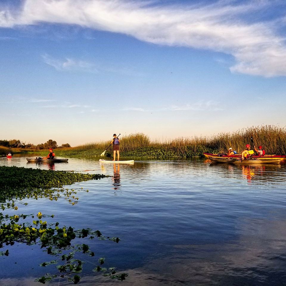 Delta Kayak Adventures | 5 Marina Plaza, Antioch, CA 94509, USA | Phone: (925) 642-5764