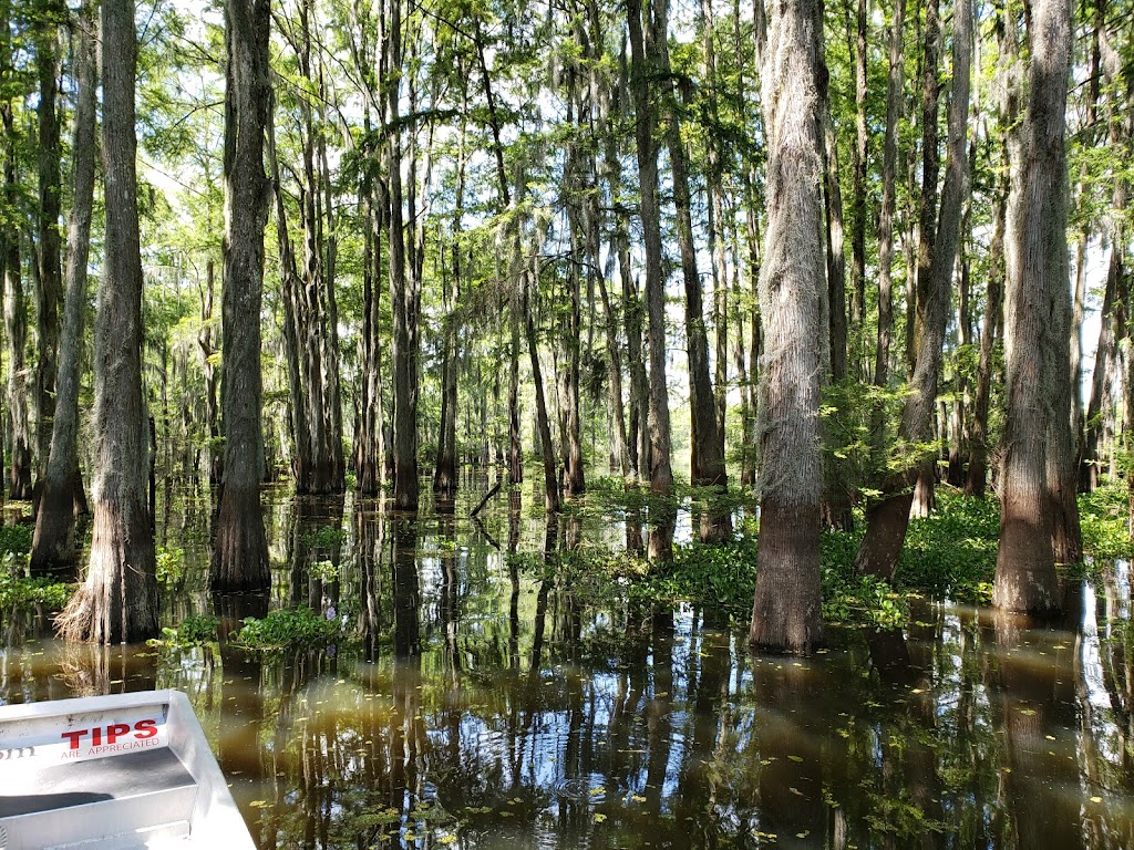 McGees Louisiana Swamp & Airboat Tours | 1337 Henderson Levee Rd, Henderson, LA 70517, USA | Phone: (337) 228-2384
