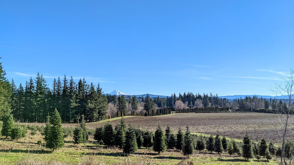 Mt. View Corbett Cemetery | SE Smith Rd, Corbett, OR 97019 | Phone: (503) 797-1709