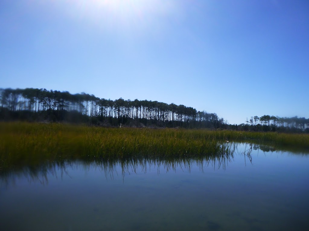 GoKayak! Paddle with a Porpoise! | 64th Street Boat Ramp, Virginia Beach, VA 23451, USA | Phone: (757) 235-4859