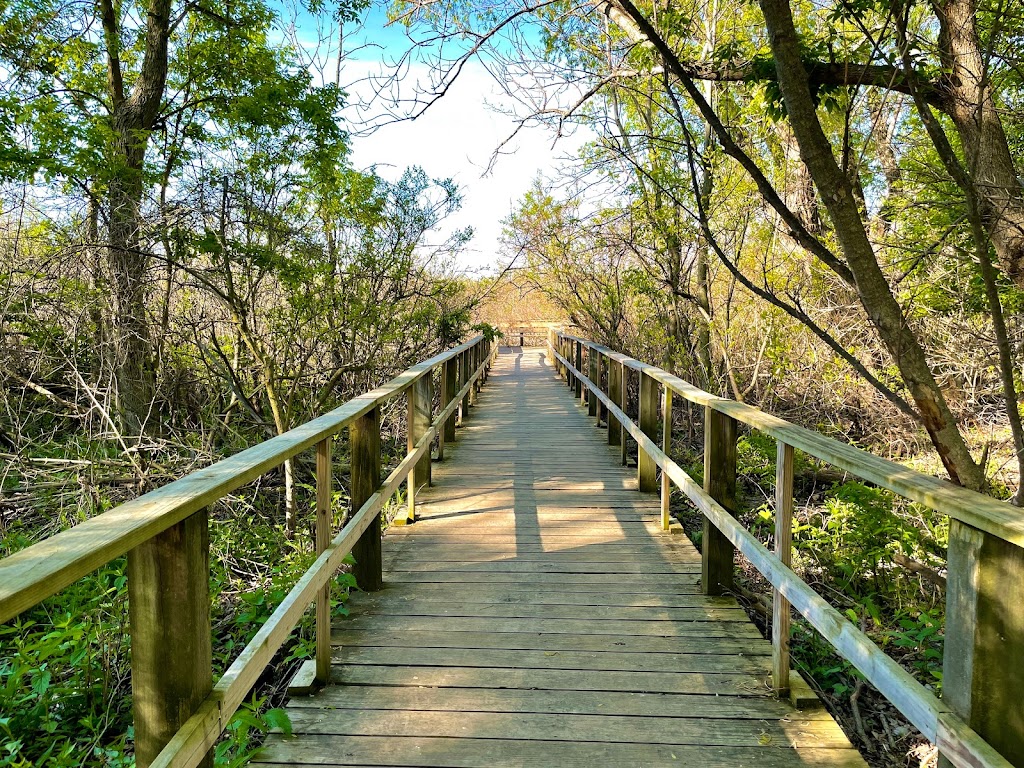 Magee Marsh | Magee Marsh Wildlife Area State Route 2 Oak Harbor OH, Curtice, OH 43412, USA | Phone: (419) 898-0960