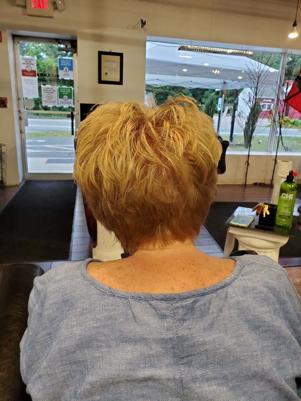 Carol Barron Hair Design | c/o Dramatic Luxe Salon, 380 Turnpike St S, South Easton, MA 02375, USA | Phone: (508) 944-4271