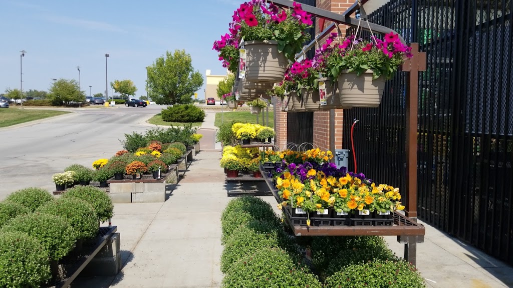 Lowes Garden Center | 8707 S 71st Plaza, Papillion, NE 68133, USA | Phone: (402) 516-0968