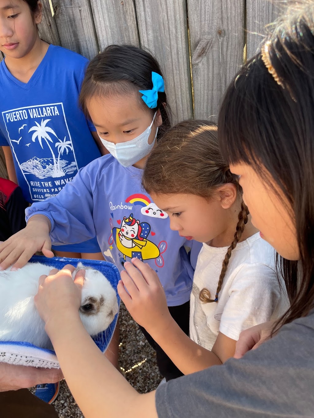 LakeCreek Montessori - Chinese Immersion Preschool | 10127 Lake Creek Pkwy, Austin, TX 78729, USA | Phone: (512) 770-6270