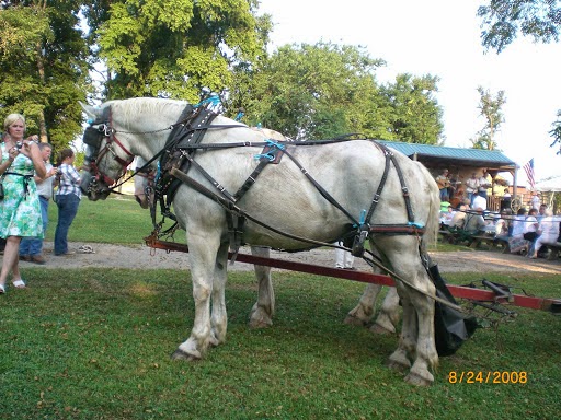 Guided Trail Rides LLC | 1418 IN-101, Liberty, IN 47353, USA | Phone: (765) 618-4835