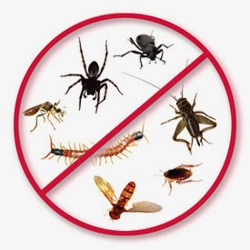 Carolina Pest Management | 6135 Park S Dr #510, Charlotte, NC 28210, USA | Phone: (704) 536-1133