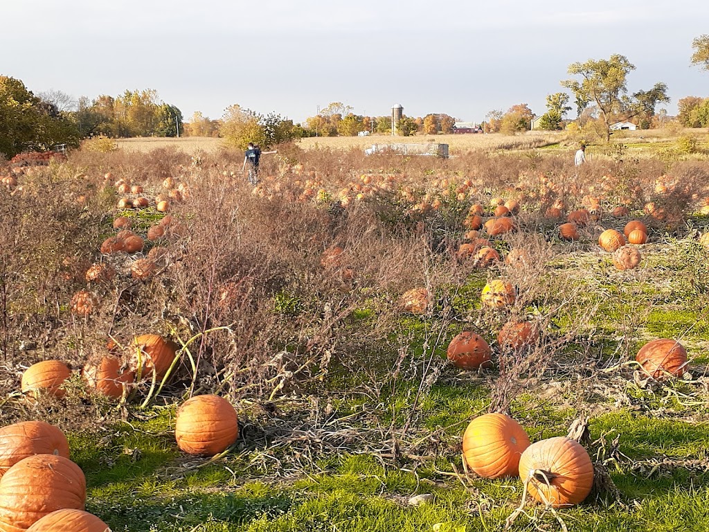 Pregitzer Farm Market, Llc | 6870 Territorial Rd, Munith, MI 49259, USA | Phone: (517) 240-4600