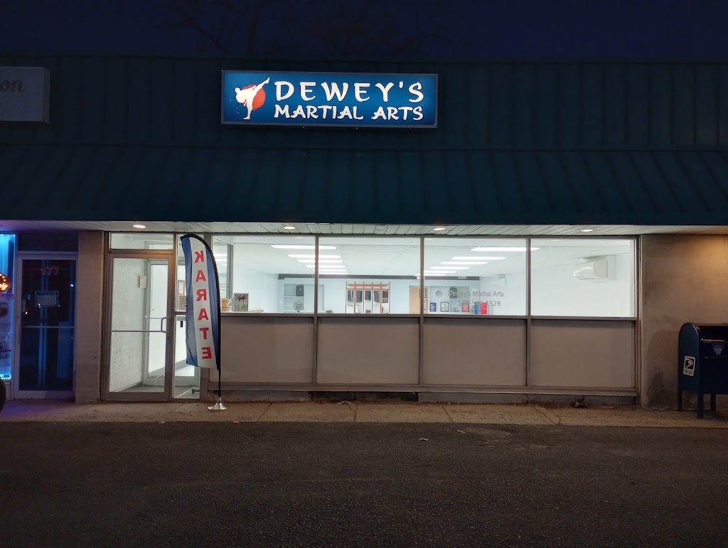 Deweys Martial Arts of Rensselaer County | 179 Columbia Turnpike, Rensselaer, NY 12144 | Phone: (518) 545-1528