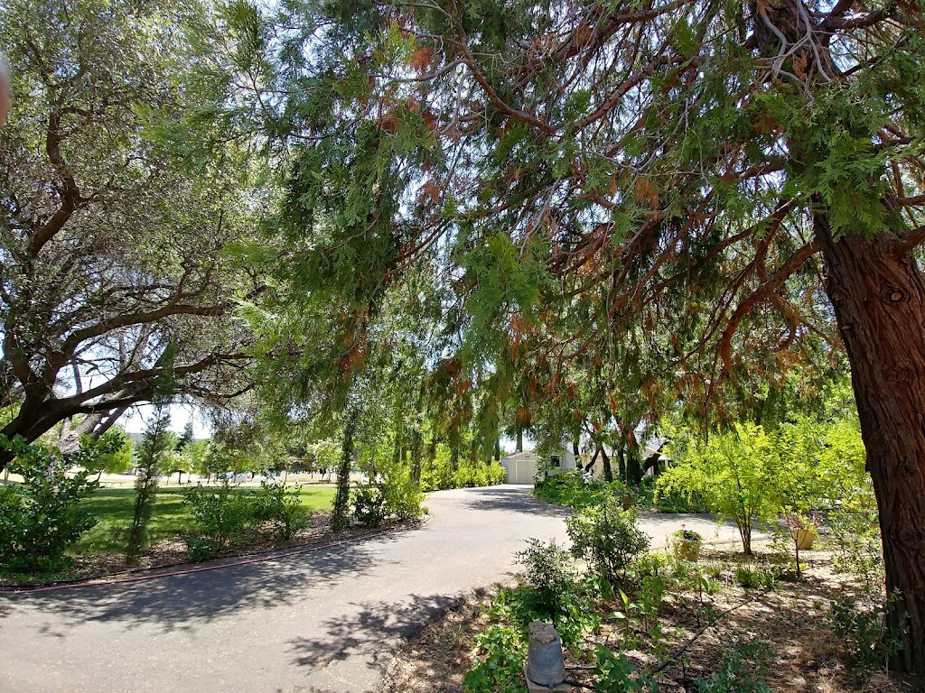 Moriah Heights Seventh Day Adventist Reform Movement Church | 240 CA-16, Plymouth, CA 95669, USA | Phone: (916) 612-5287