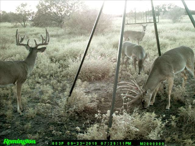 La Leyenda Ranch | Miles Rd, Tilden, TX 78072, USA | Phone: (713) 202-5348