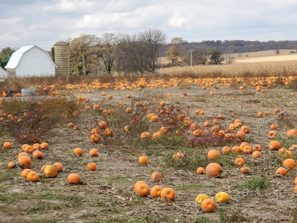 Creek Bed Country Farmacy | N2767 Mountford Rd, Poynette, WI 53955, USA | Phone: (608) 635-8798