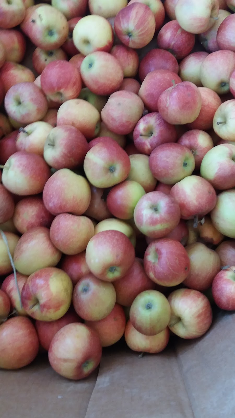 Variety Produce | 415 W Main St, Rockwell, NC 28138, USA | Phone: (704) 279-1334