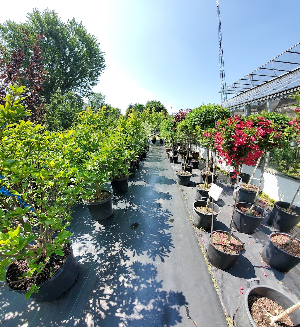 Ruthven Nursery & Garden Centre | 1611 Talbot Rd, Ruthven, ON N0P 2G0, Canada | Phone: (519) 326-4019