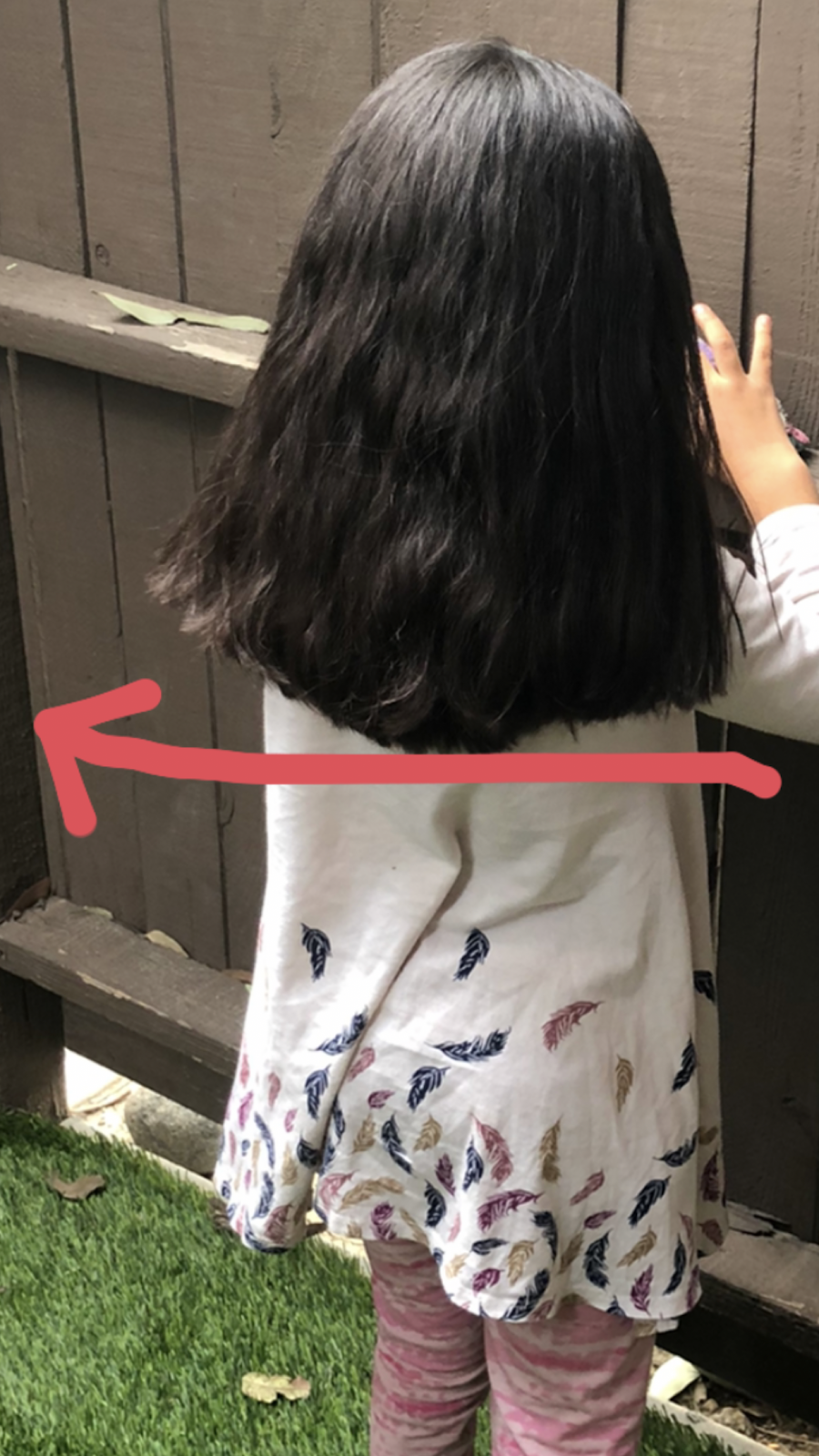 Dominion Life Christian Center | 5710 Cahalan Ave, San Jose, CA 95123, USA | Phone: (408) 618-5950