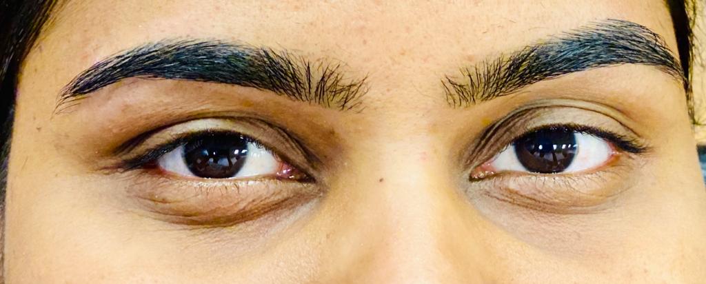 Art of Eyebrows | 1 Rockingham Park Blvd, Salem, NH 03079, USA | Phone: (603) 898-2444