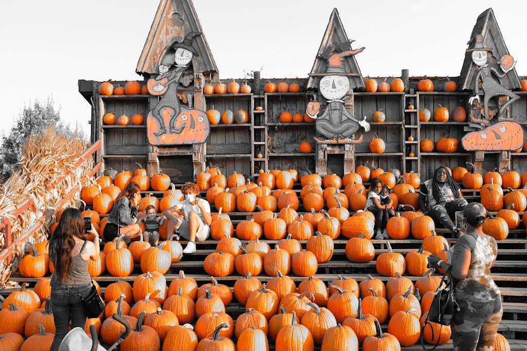 Great Pumpkin Farm | 11199 Main St, Clarence, NY 14031, USA | Phone: (716) 759-1929