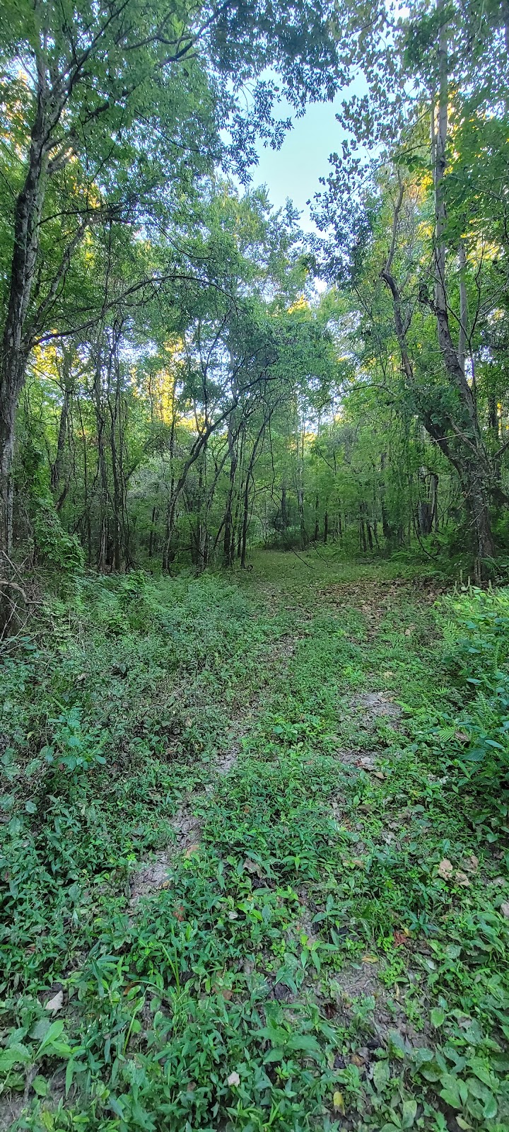 Atchafalaya National Wildlife Refuge | highway 190 & interstate 10, Lottie, LA 70756, USA | Phone: (985) 882-2000