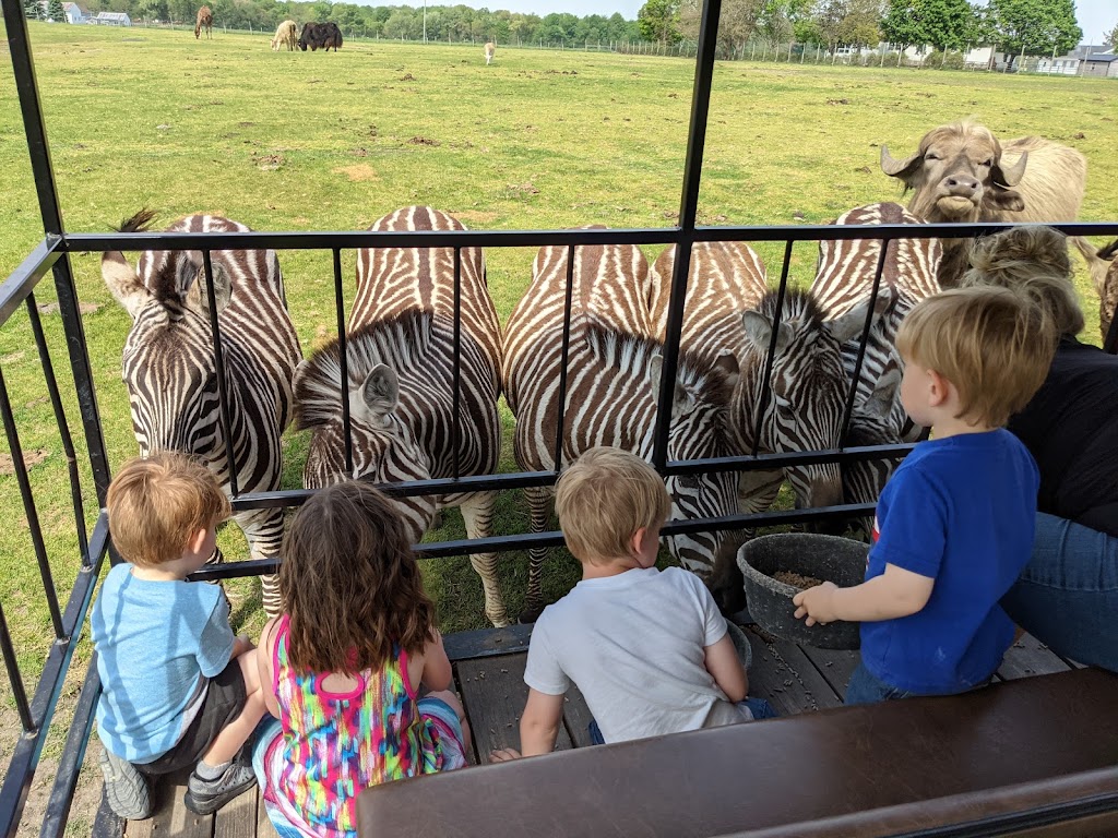 Dutch Creek Farm Animal Park | 6255 N 1000 W, Shipshewana, IN 46565, USA | Phone: (260) 768-4416