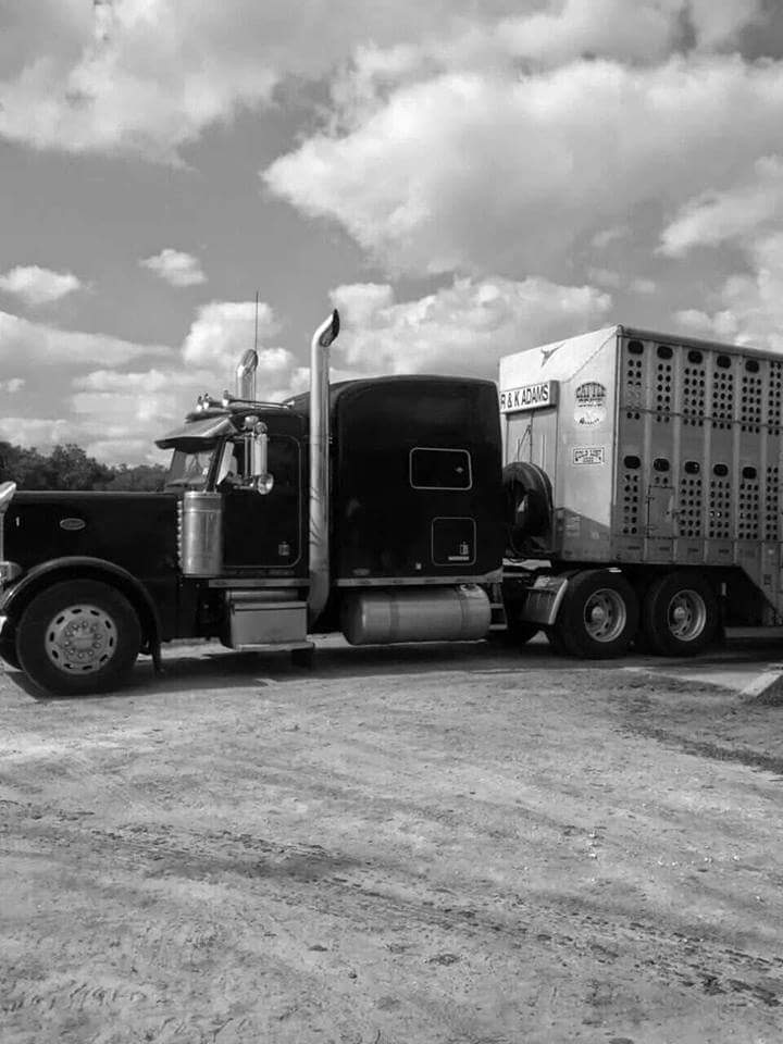 Center Hill Cattle Trailer Washout | 10560 Co Rd 707, Webster, FL 33597, USA | Phone: (352) 457-6632