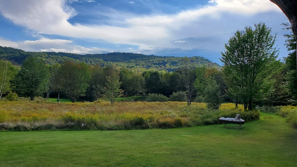 Griffis Sculpture Park | 6902 Mill Valley Rd, East Otto, NY 14729, USA | Phone: (716) 667-2808