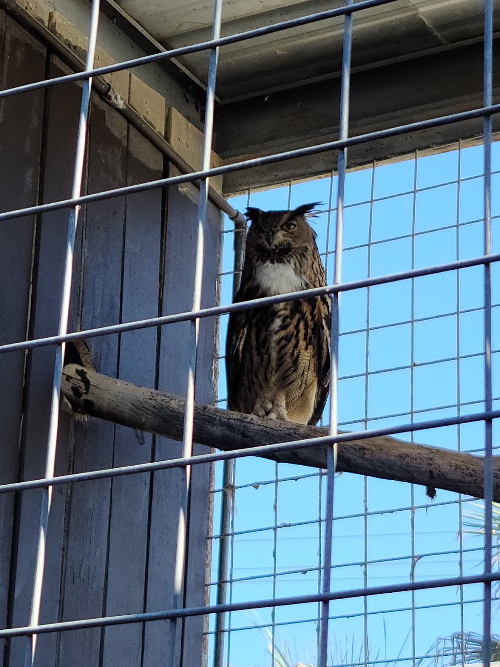 Animal World & Snake Farm Zoo | 5640 Interstate 35 S, New Braunfels, TX 78132, USA | Phone: (830) 608-9270